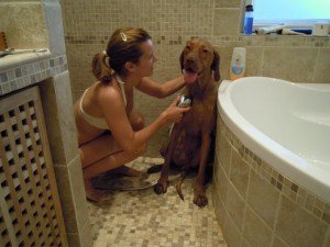 263788_10150239478595098_2717872_n