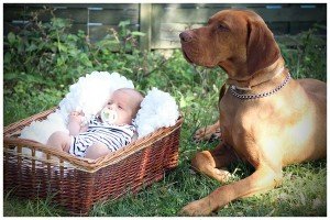 548708_10151259747322516_931028092_n