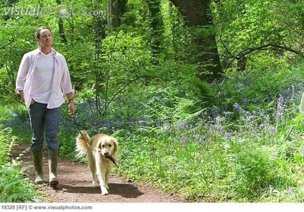 man_and_dog_walking_in_forest_among_bluebell_flowers_19328