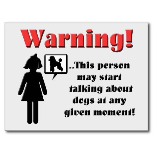 warning_dog_talker_postcard-r51d1876e649a461c8f1e565a1b0bc6af_vgbaq_8byvr_512