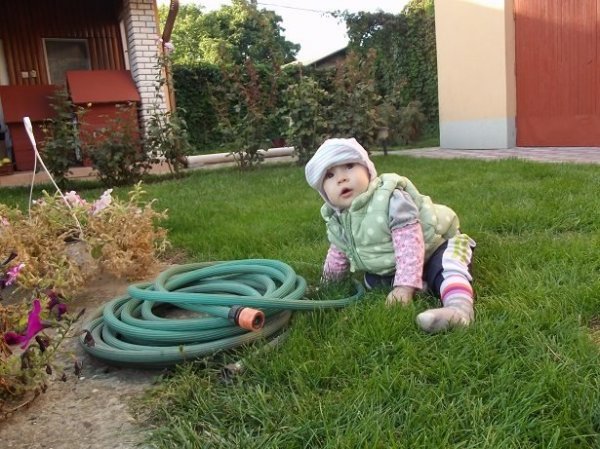 10463867_820491224627856_2476682919063019893_n